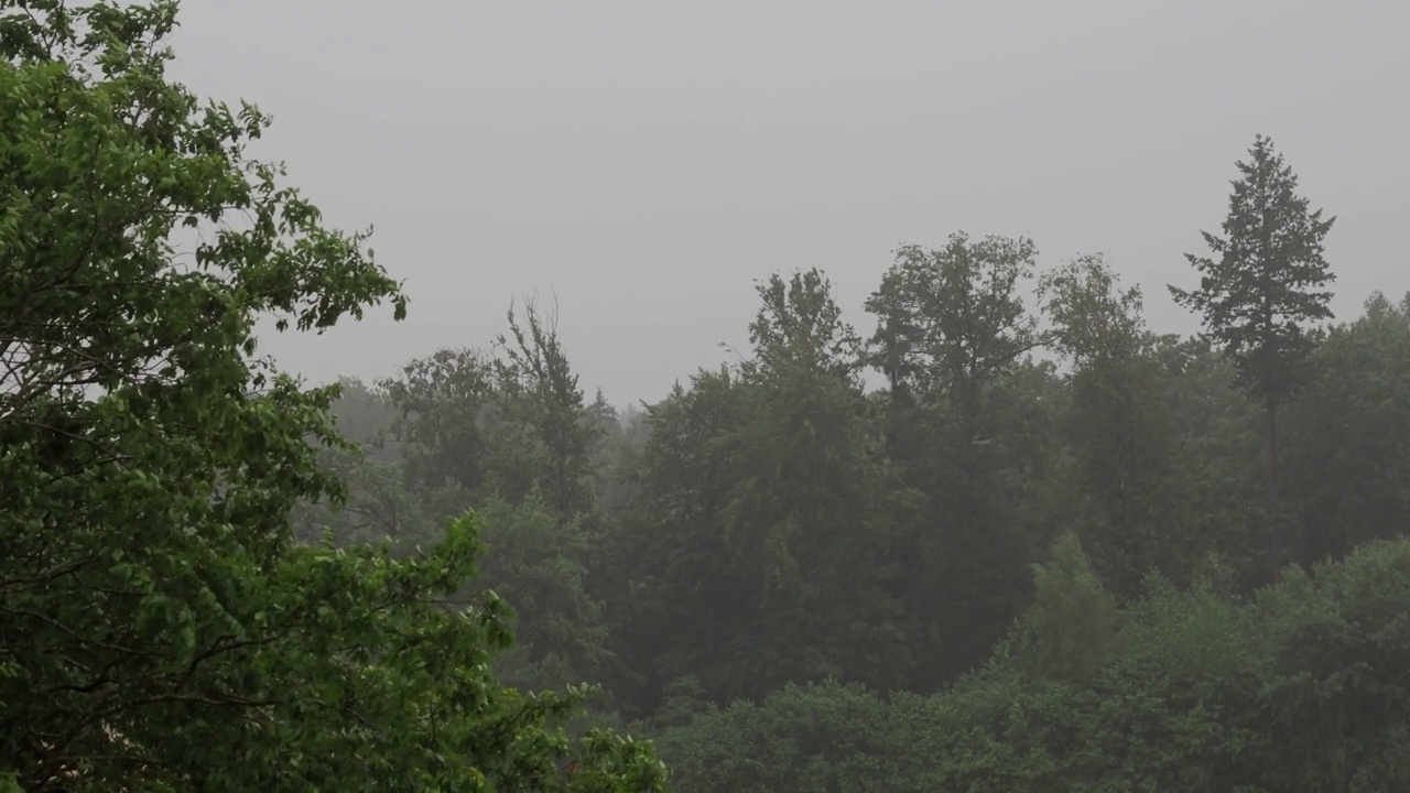 瑞士仲夏，暴雨和雷雨俯瞰树木和森林视频素材