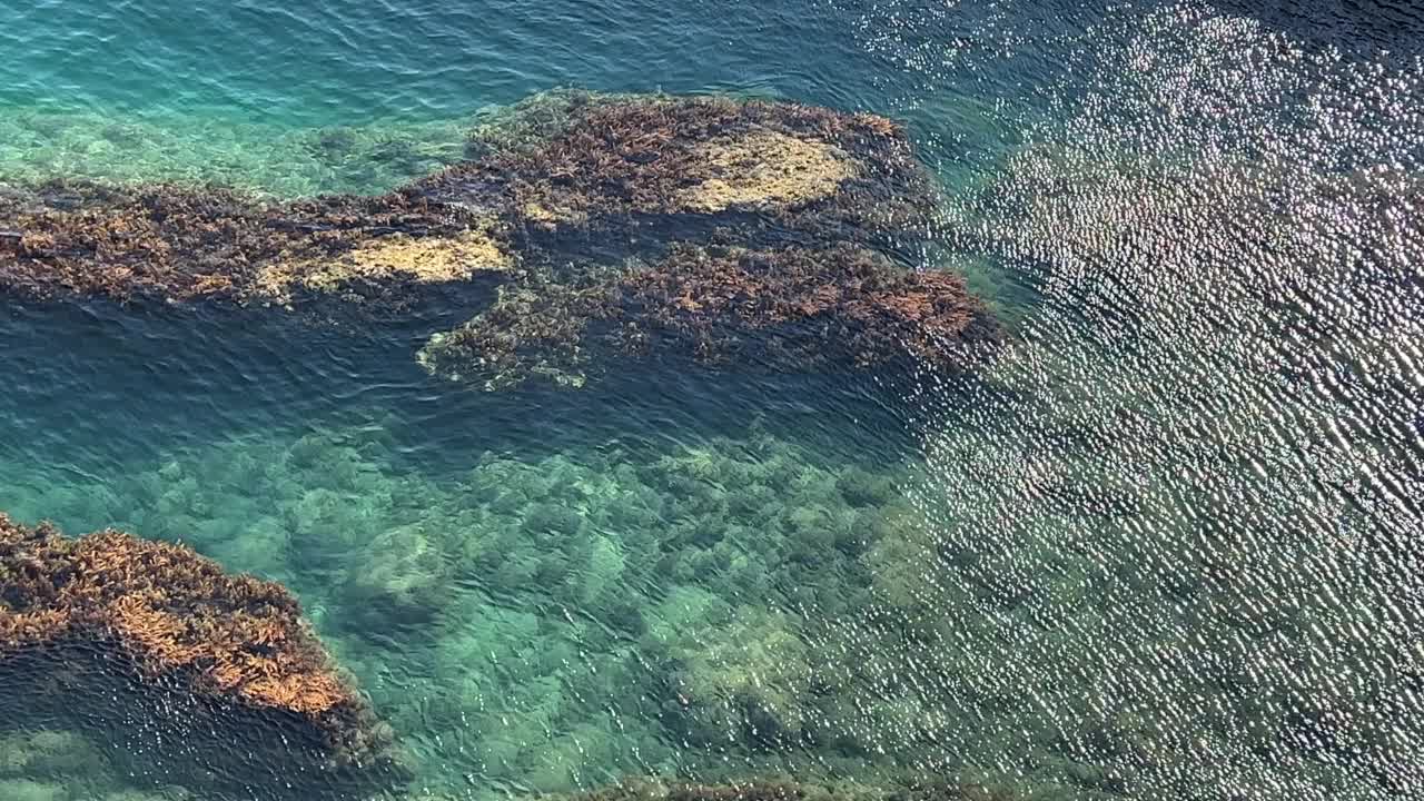 美丽的绿松石海岸。波光粼粼的清澈海水。海水表面的波浪在阳光下闪闪发光。视频素材