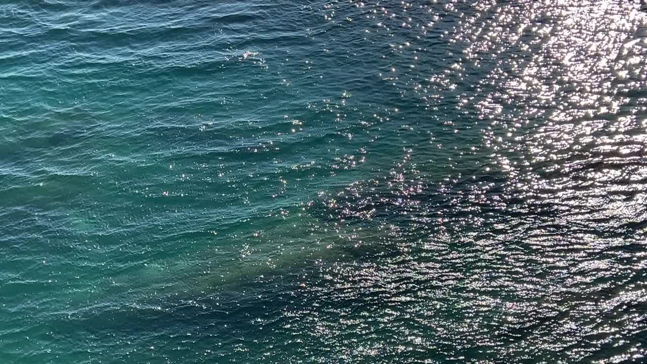 美丽的蓝绿色海水。水面波浪在阳光下闪闪发光。夕阳照射在波浪上的耀眼光芒。视频素材