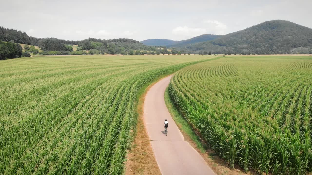 骑自行车穿过绿色的玉米田。妇女骑自行车公路自行车在自行车道沿农业绿色的田野。休闲体育的概念。休闲活动。健康积极的生活方式视频素材