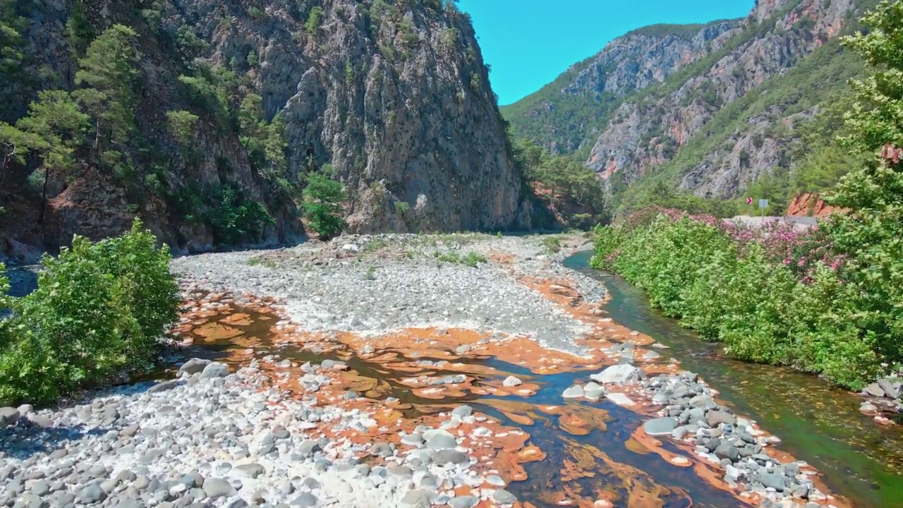 鹿峡谷视频素材