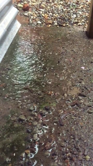 雨滴视频素材