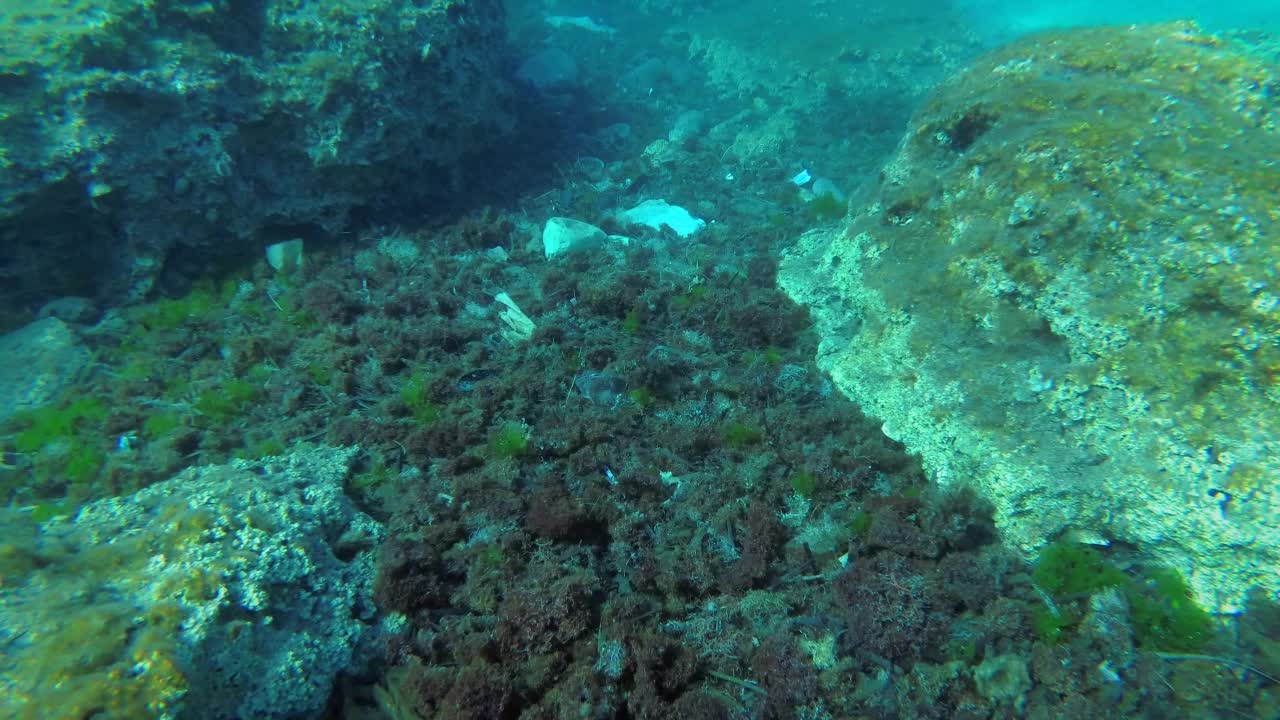 海洋污染:城市海滩附近的海床上有大量的塑料碎片。视频素材