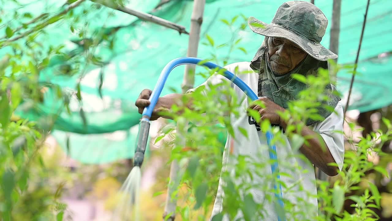 农民在菜园里干活视频素材