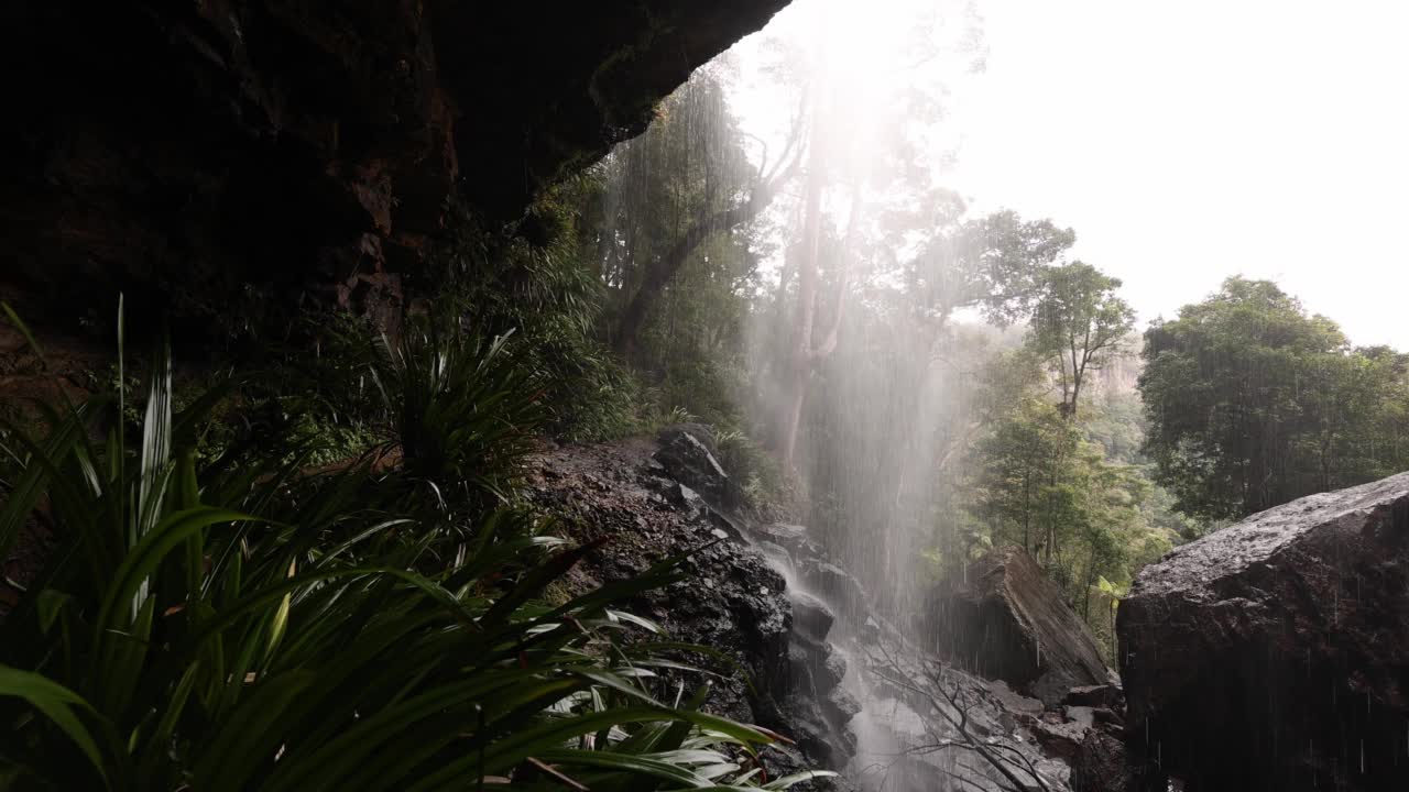 徒步旅行者沿着雨林小径走向从瀑布后面拍摄的相机视频素材