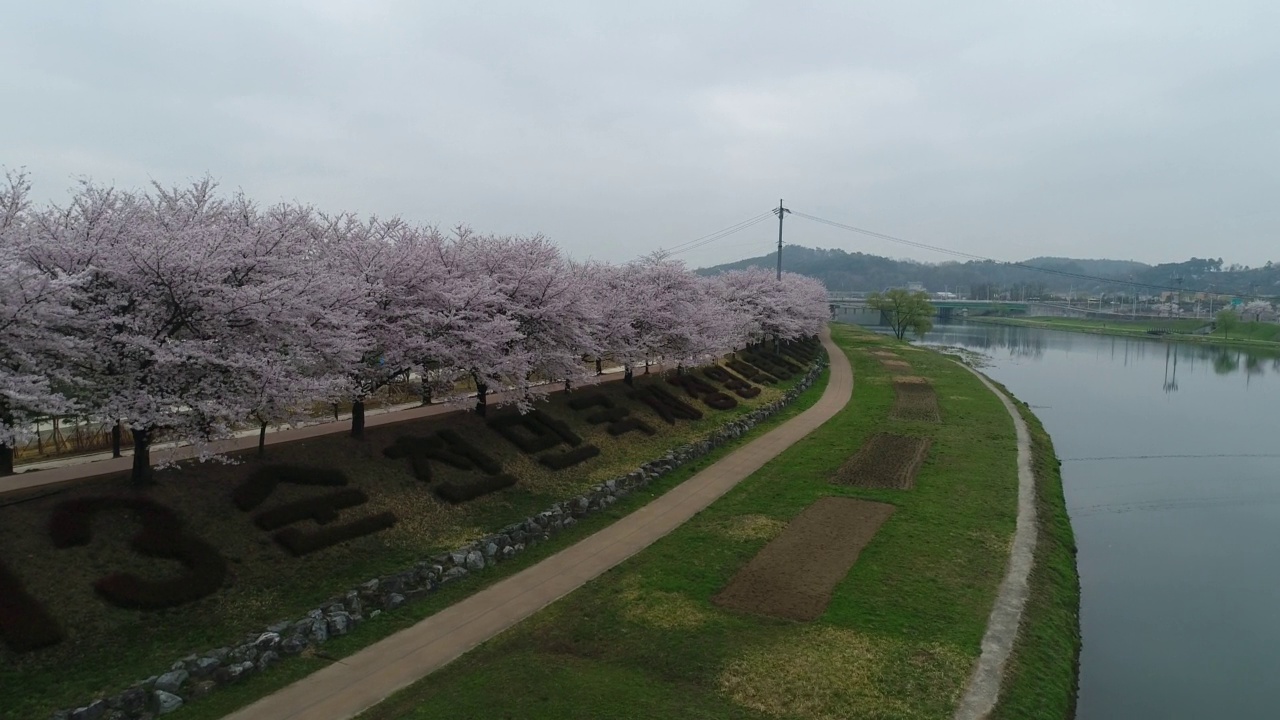 韩国全罗南道顺川市丰德区东川川景和樱花视频素材