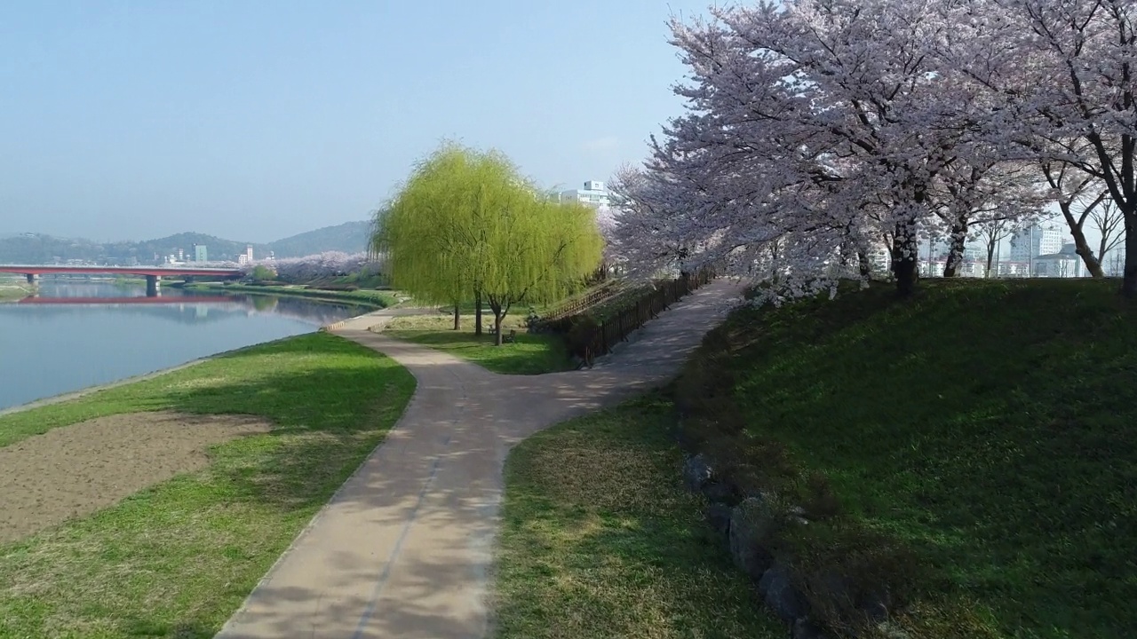 韩国全罗南道顺川市丰德区，东川溪流和柳树旁的长廊视频素材