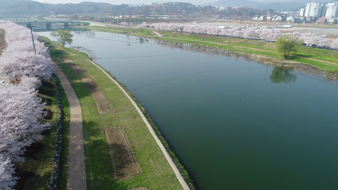 韩国全罗南道顺川市丰德区东川川景和樱花视频素材