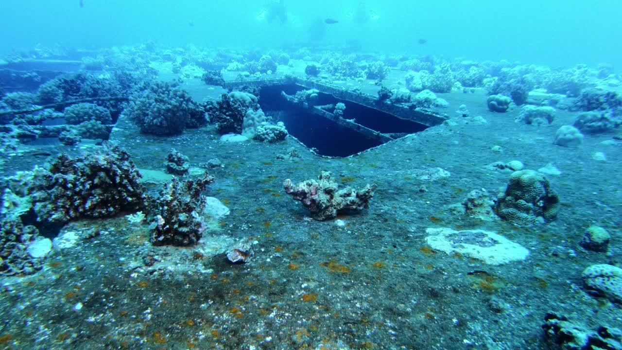 探索红海著名的潜水点。移动由塞勒姆快车沉船视频素材