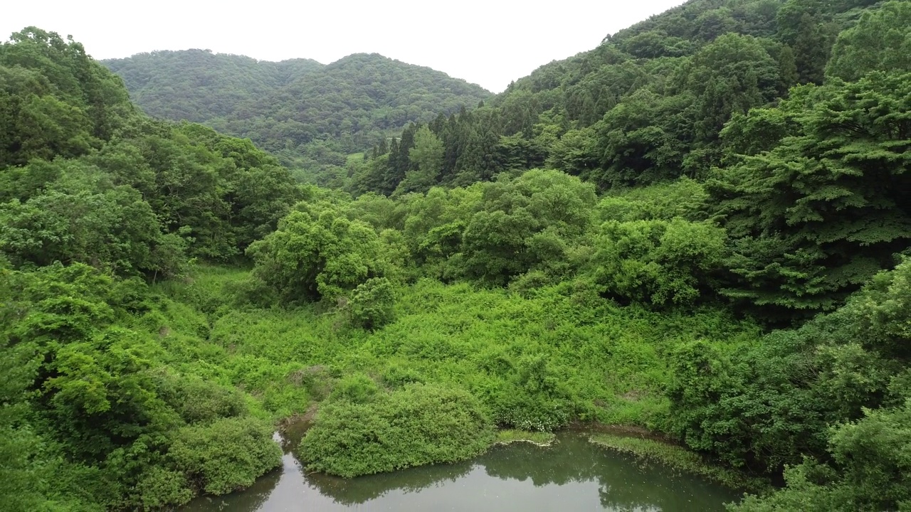 ▼韩国全罗南道和顺郡舍良池水库和山的风景视频素材