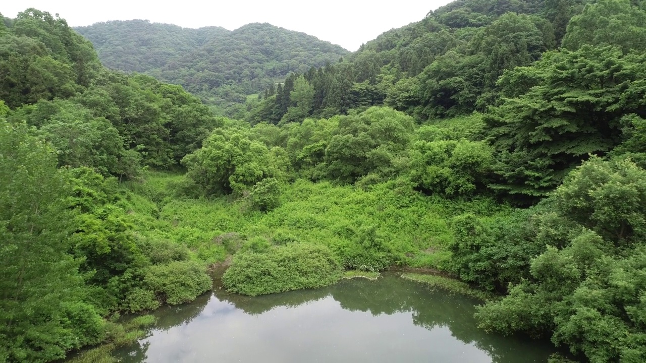 韩国全罗南道和顺郡的舍良池水库和山视频素材