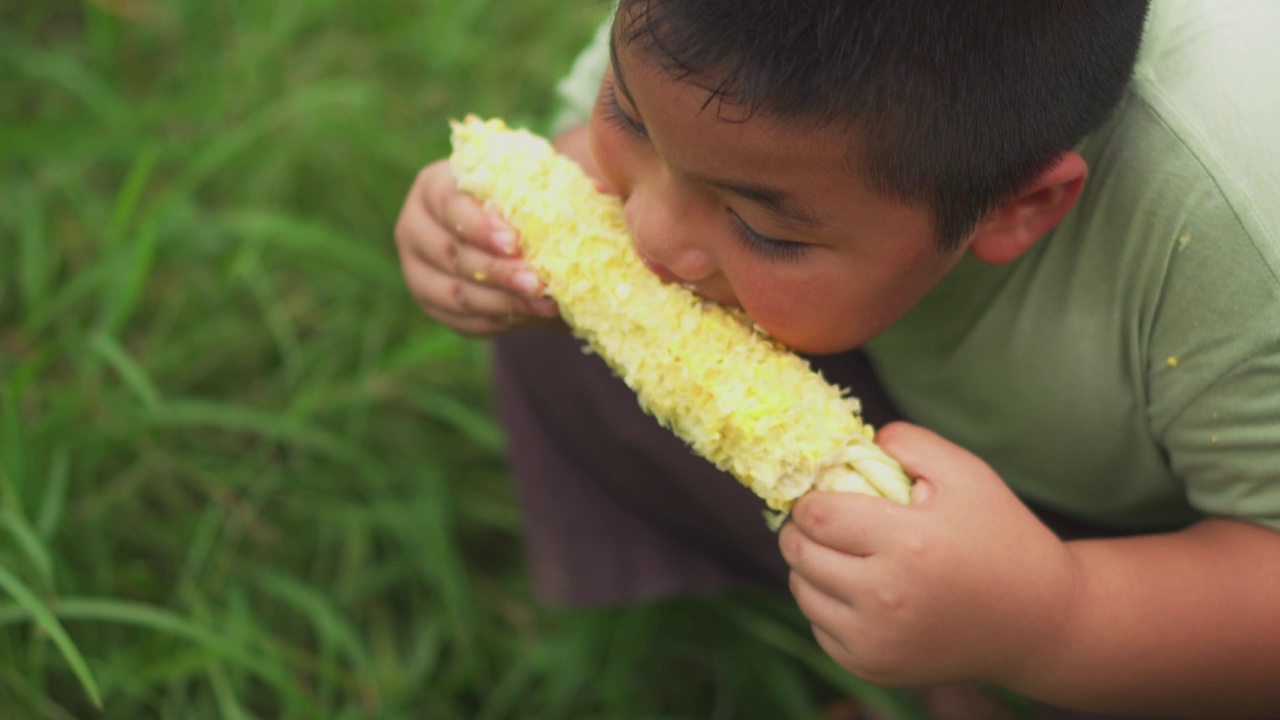 亚洲男孩在吃玉米棒子。快乐的孩子吃着玉米棒子。视频素材