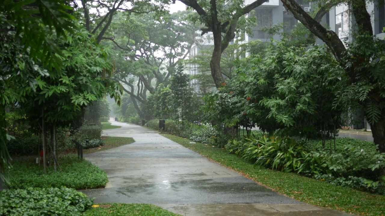 新加坡一个空公园的雨天视频素材