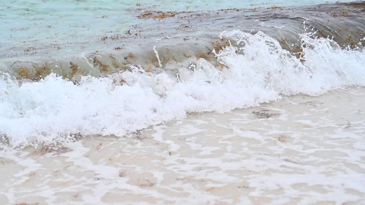 海浪拍打着海岸的视频，加勒比海的海浪拍打着马尾藻。视频素材