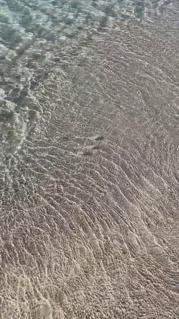 夏天炎热，海滩和清澈的大海为背景和暑假视频素材