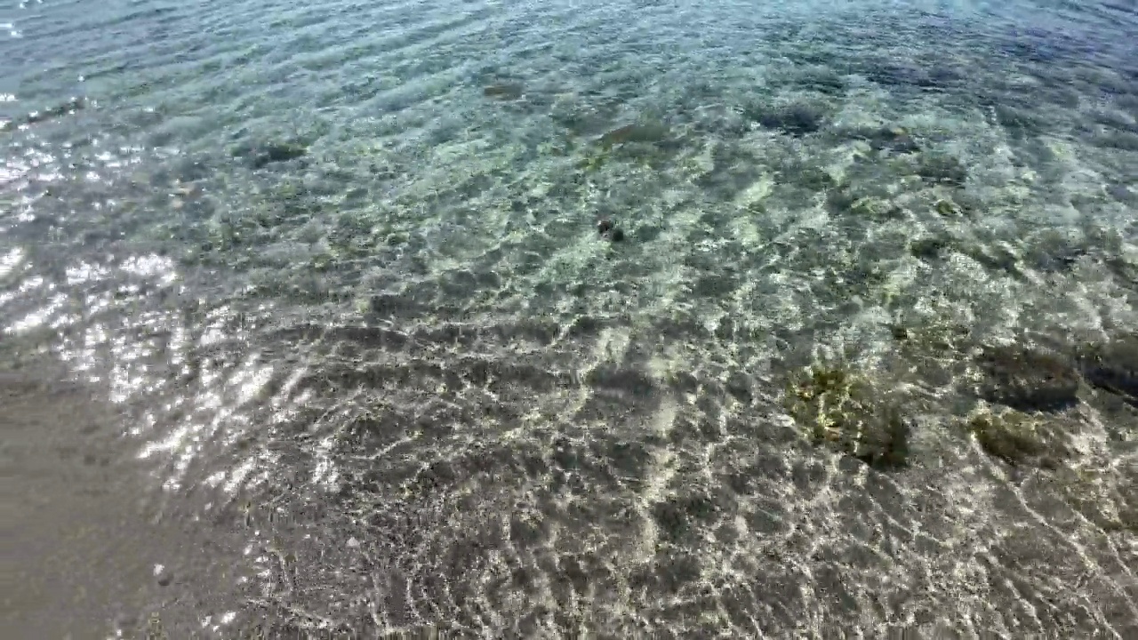 夏天炎热，海滩和清澈的大海为背景和暑假视频素材