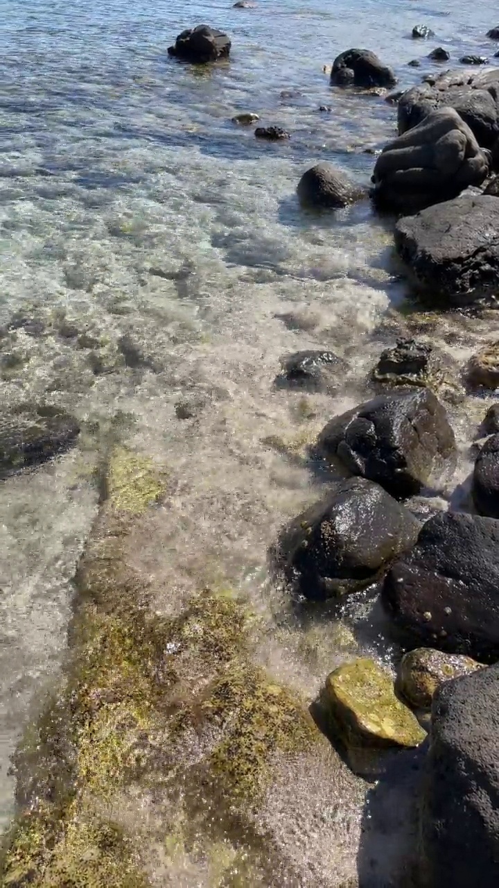 夏天炎热，海滩和清澈的大海为背景和暑假视频素材