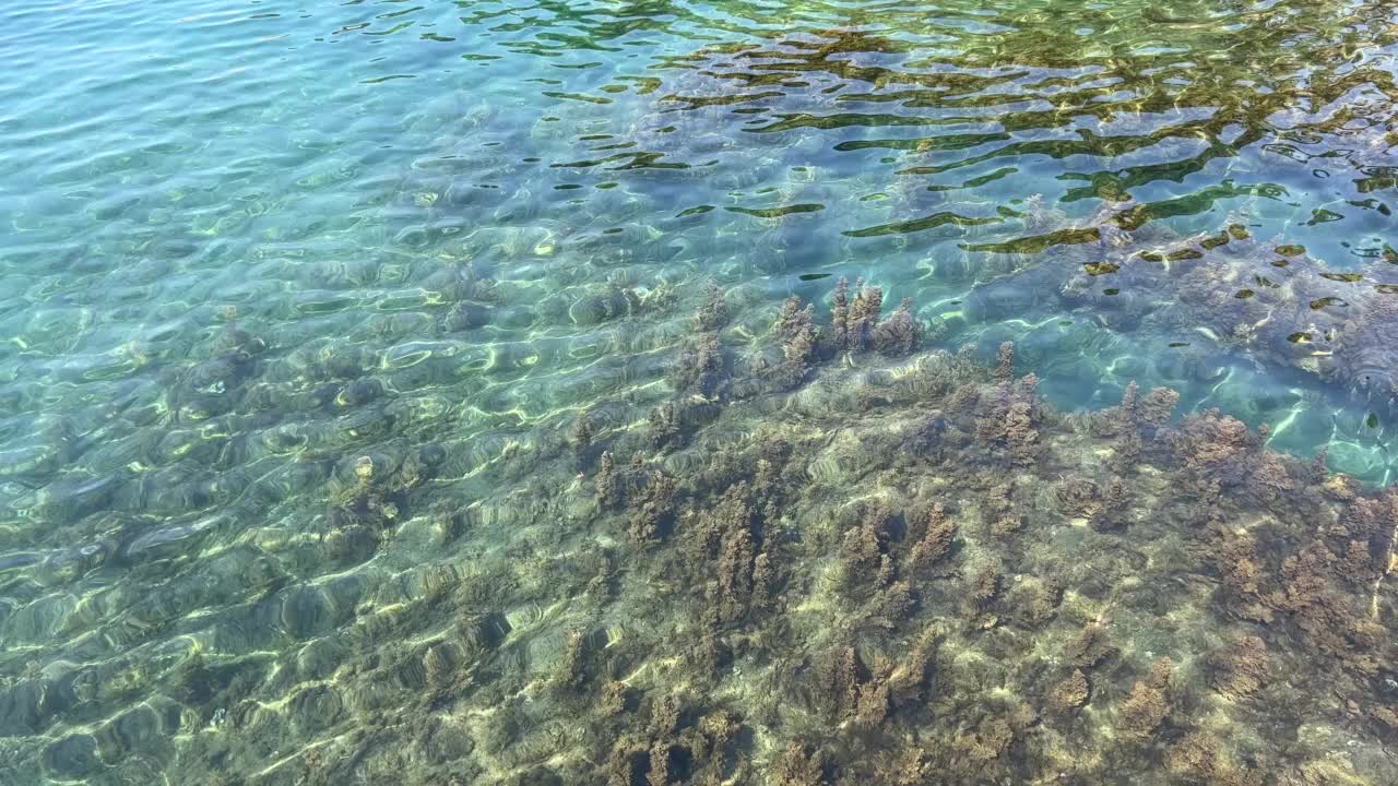 波光粼粼的海蓝色碧蓝的水平静的表面在天堂泻湖。视频素材