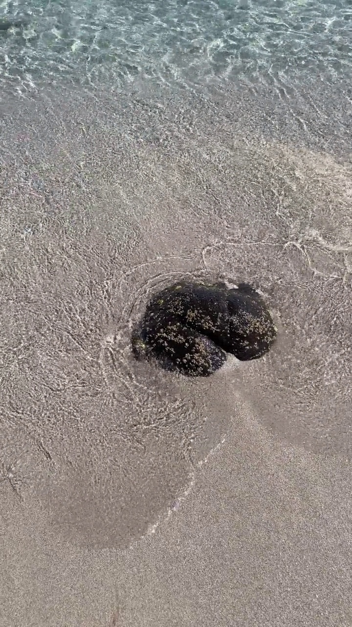 夏天炎热，海滩和清澈的大海为背景和暑假视频素材