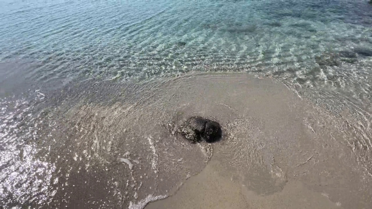 夏天炎热，海滩和清澈的大海为背景和暑假视频素材