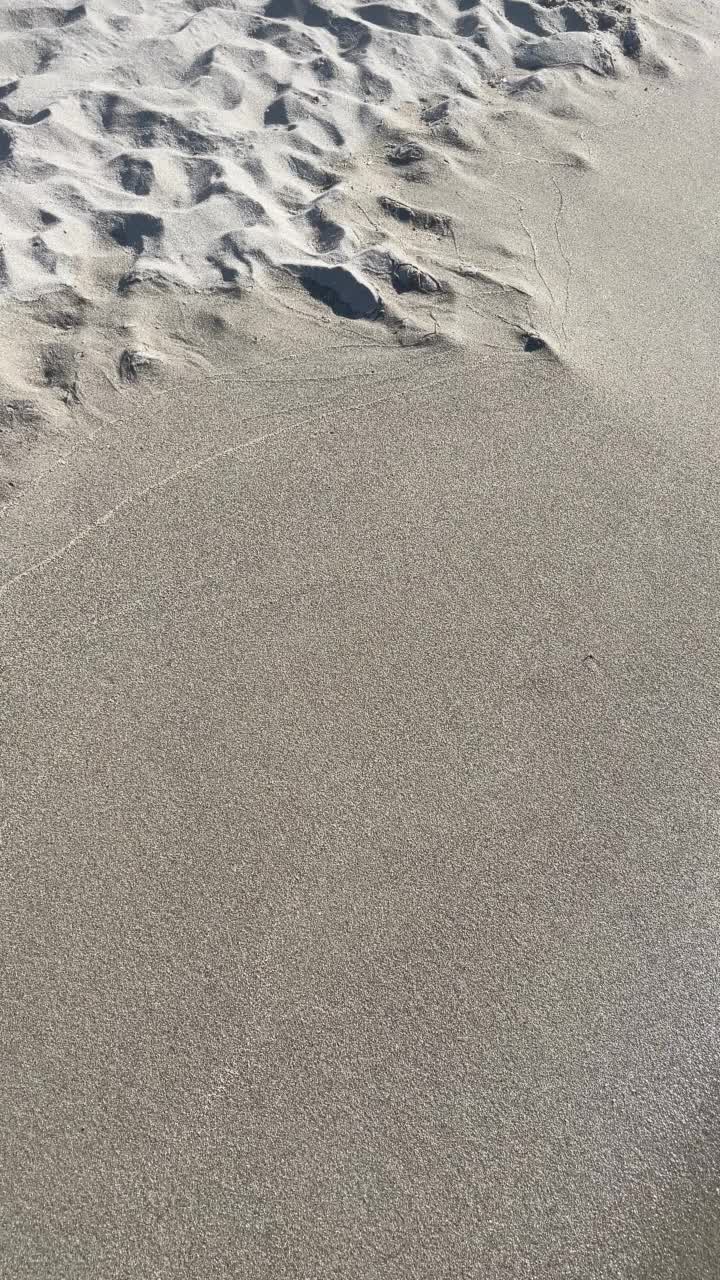 夏天炎热，海滩和清澈的大海为背景和暑假视频素材