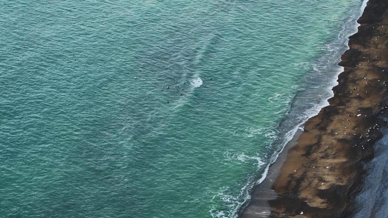 无人机的绿松石蓝色的海浪在沙滩上打破，自上而下的模式和美丽的海岸，复制空间的背景视频素材