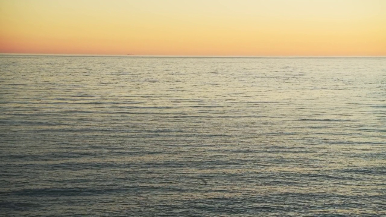 鸟飞在橙色日落海洋背景与平静的海水，地平线和橙色的天空，太阳海岸，西班牙视频素材