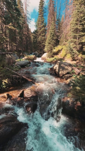 岩石山的河流或溪流在森林中流动视频素材