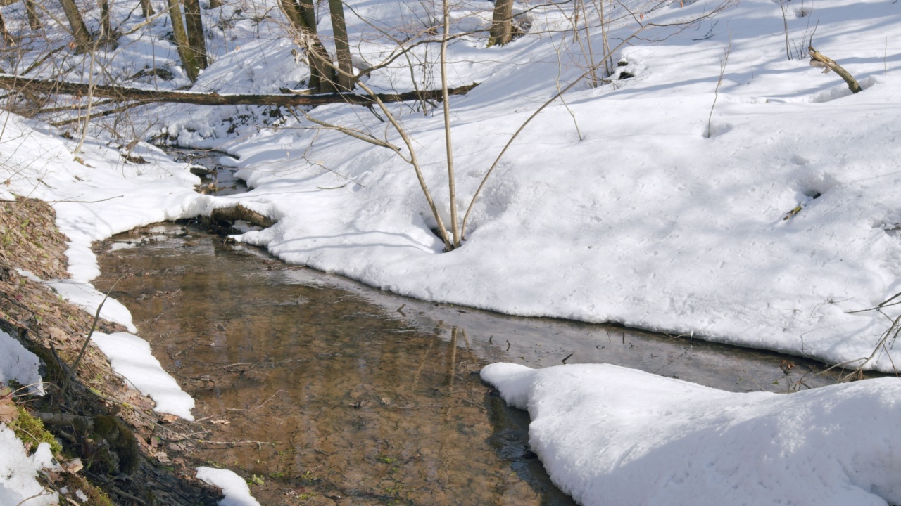 森林里的小溪在春天融化水。雪融化形成一条小溪。视频素材