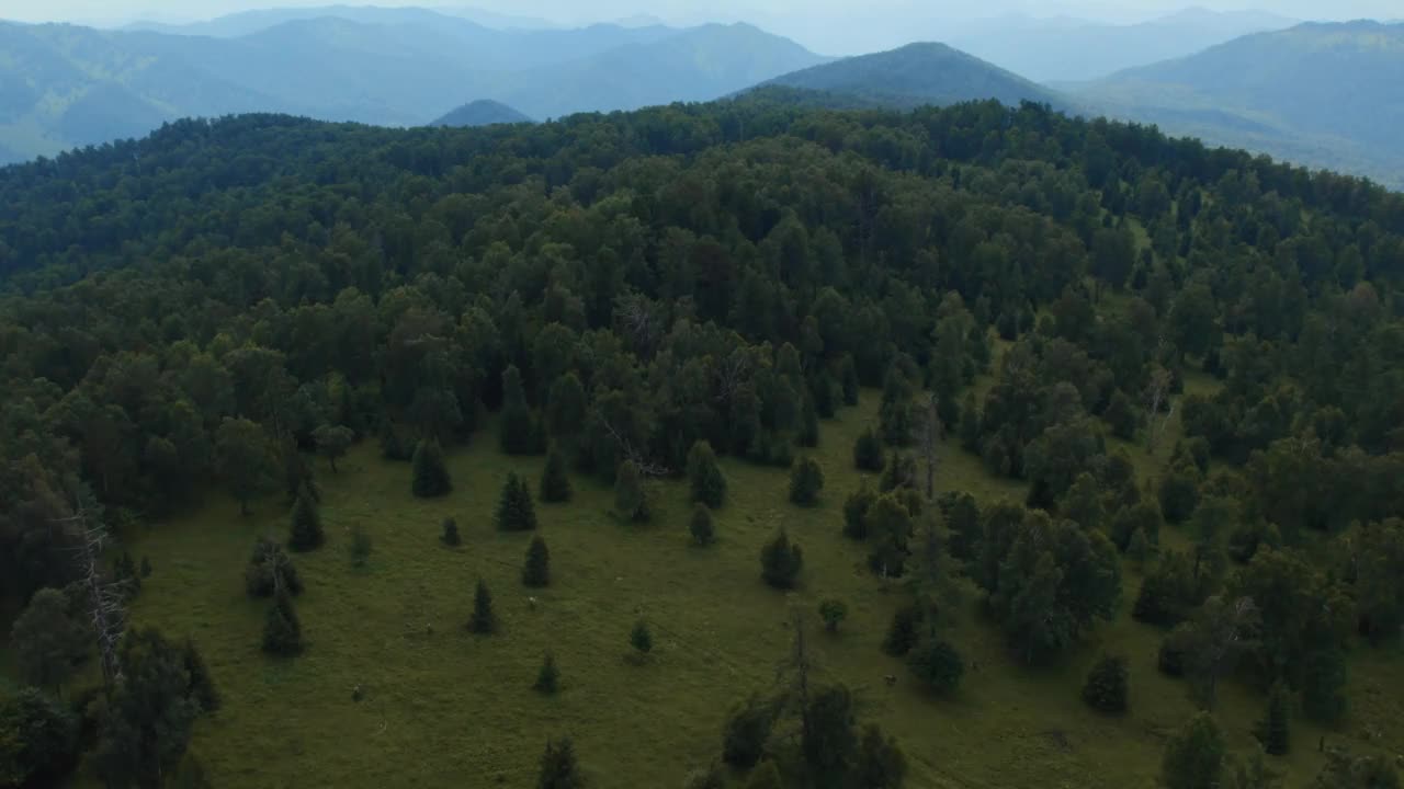 漫山遍野，云雾缭绕视频素材