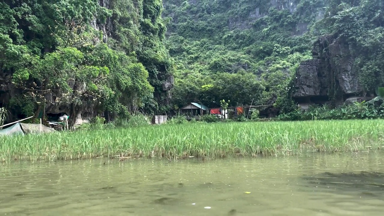 在越南北部的宁平省，美丽的Tam Coc洞穴和湖的船视图，在炎热的夏天，有令人惊叹的山脉，岩石和稻田。视频下载