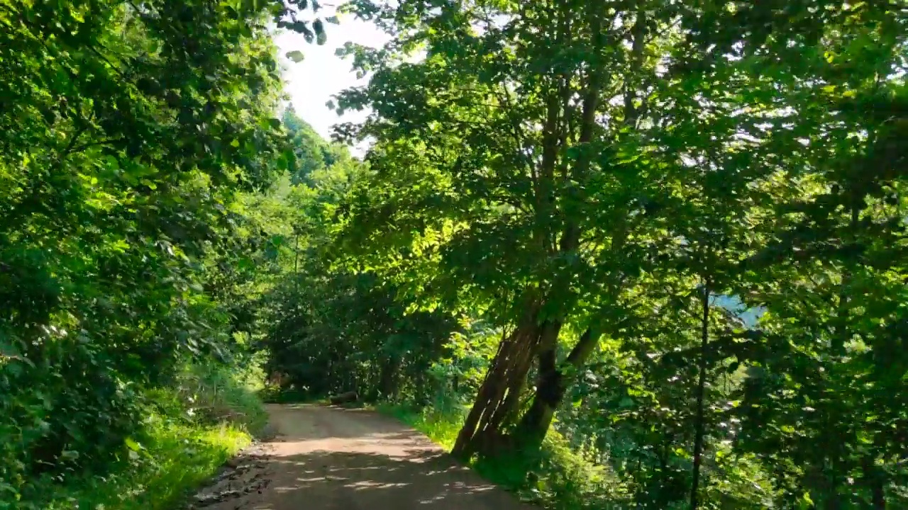 在青山绿水间的土路上，快车飞驰而过视频素材