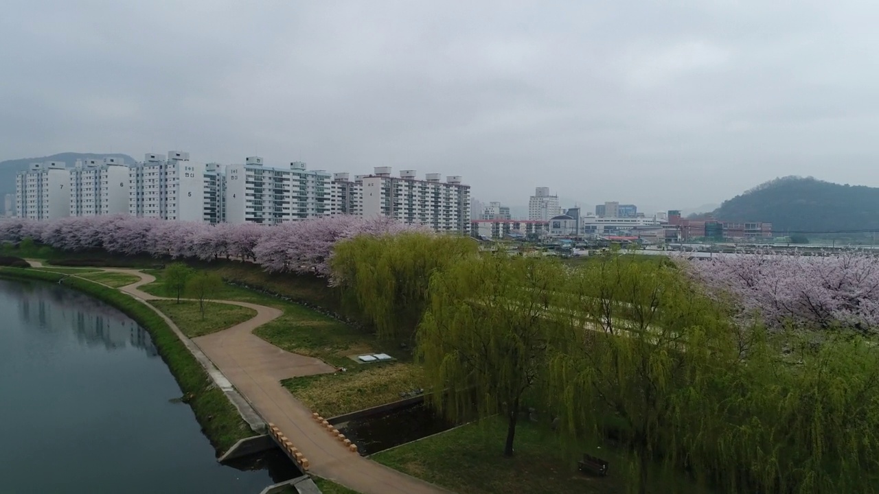 韩国全罗南道顺川市丰德区，柳树成荫的东川川和整个村庄视频素材