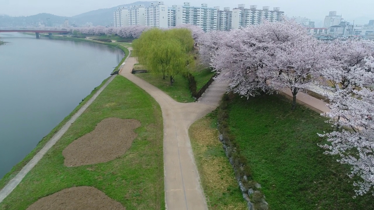 韩国全罗南道顺川市丰德区，柳树成荫的东川溪流和村庄视频素材