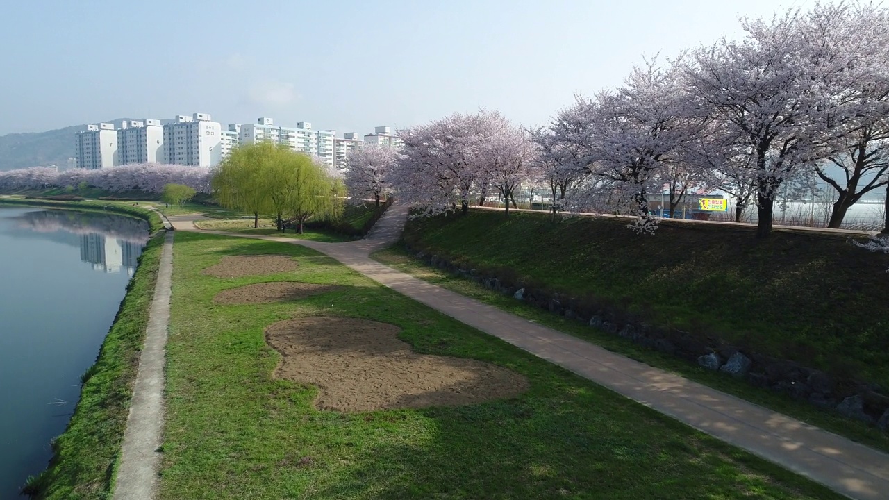 韩国全罗南道顺川市丰德区，东川川边有长廊和樱花视频素材