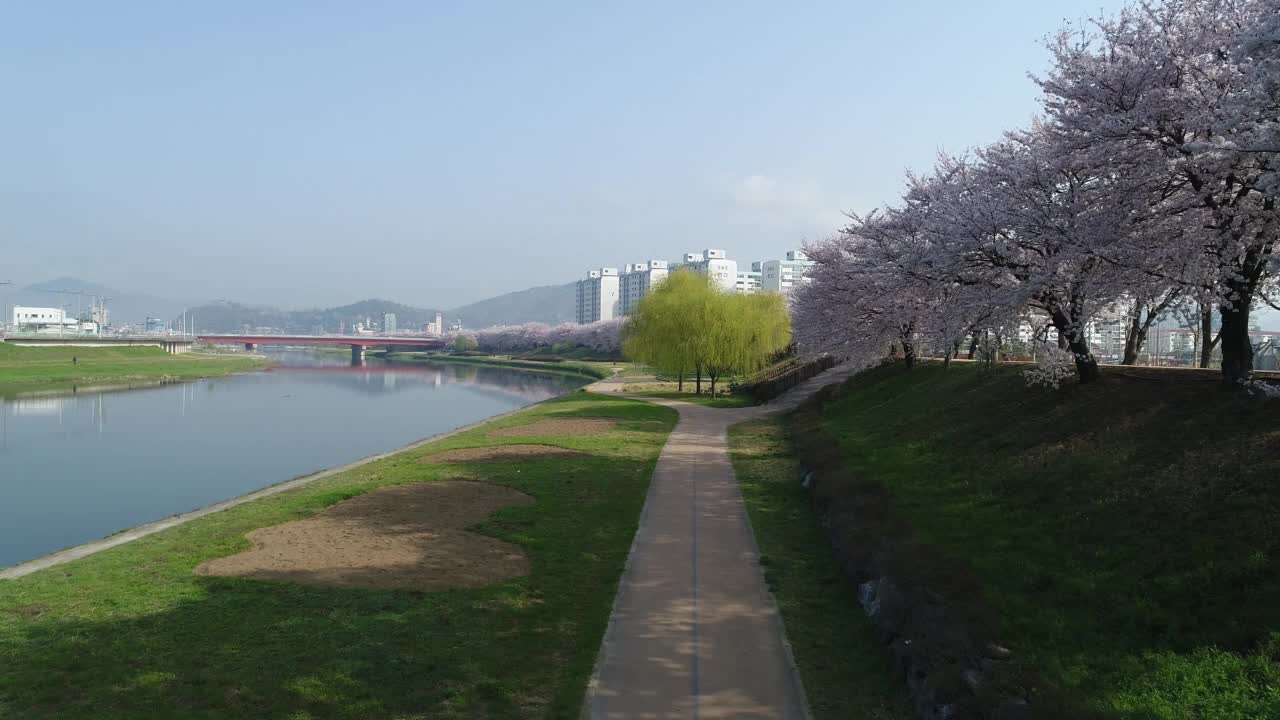 韩国全罗南道顺川市丰德区，东川川边的长廊和柳树视频素材