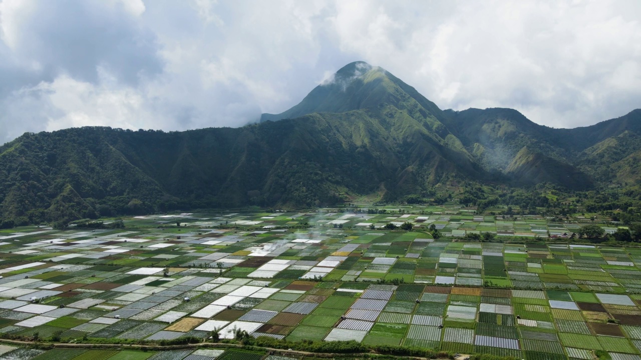 印尼农业用地的航拍视频。白天被小山包围视频下载