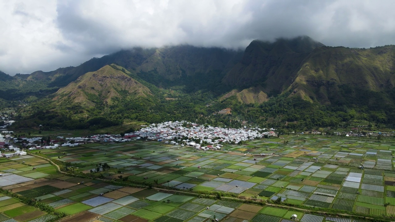 印尼农业用地的航拍视频。白天被小山包围视频素材