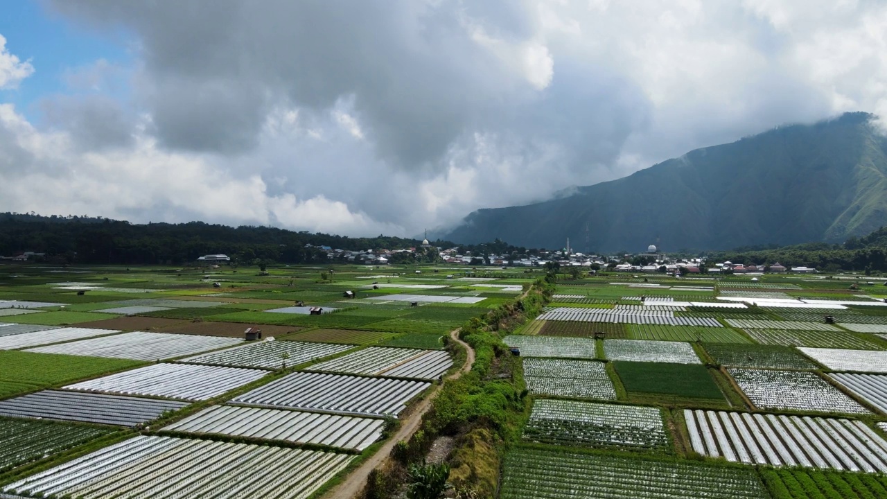 印尼农业用地的航拍视频。白天被小山包围视频下载