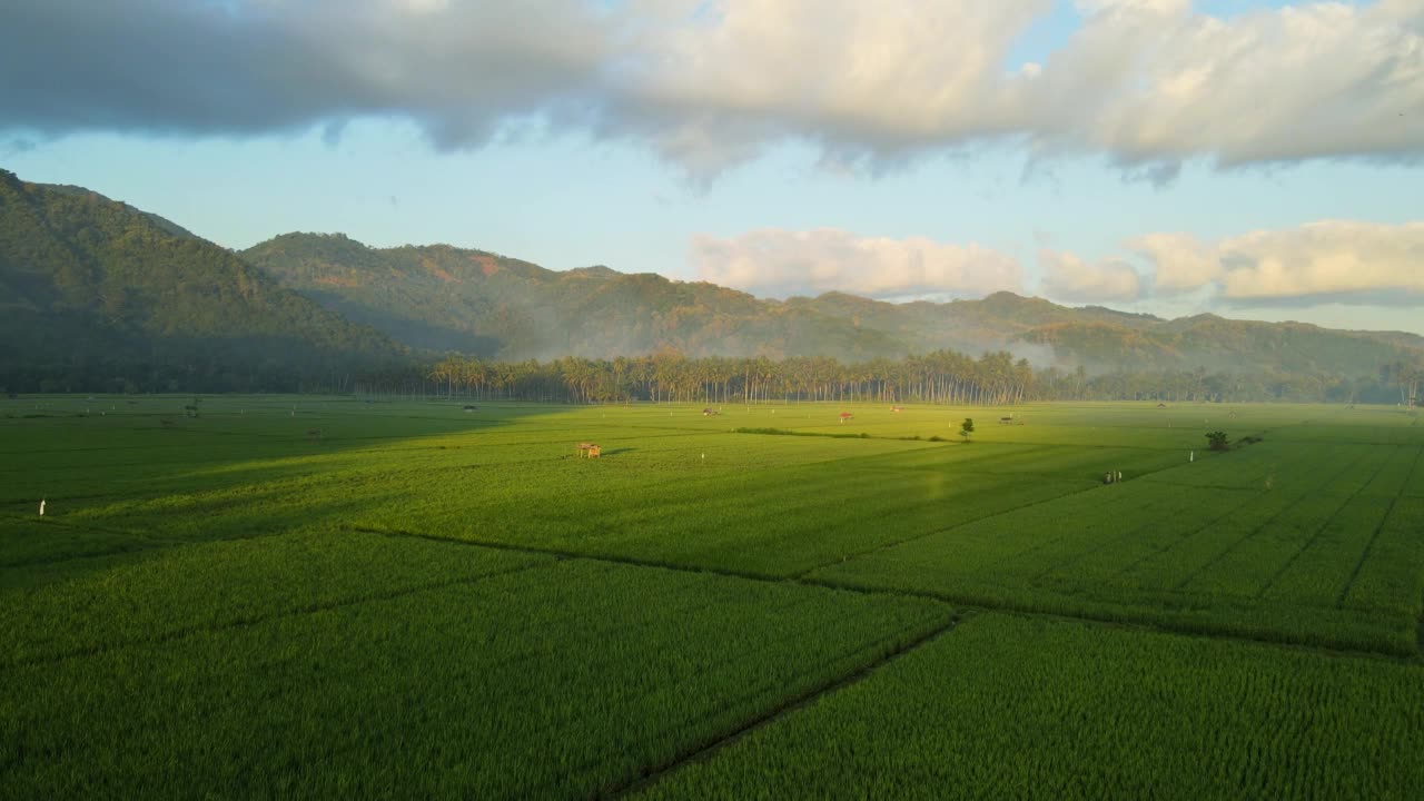 印尼农业土地的航拍视频在日出，山和雾的背景视频素材