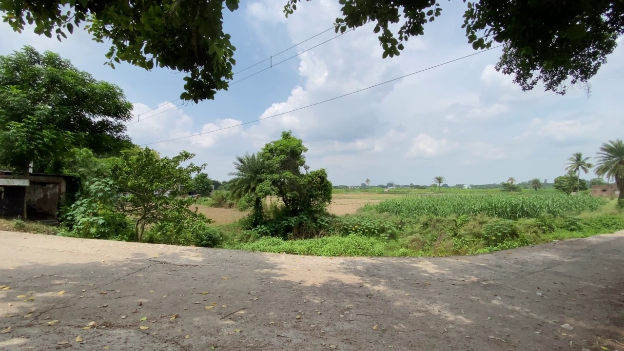 印度Murshidabad区，一条穿过绿色田野的乡村公路。视频素材