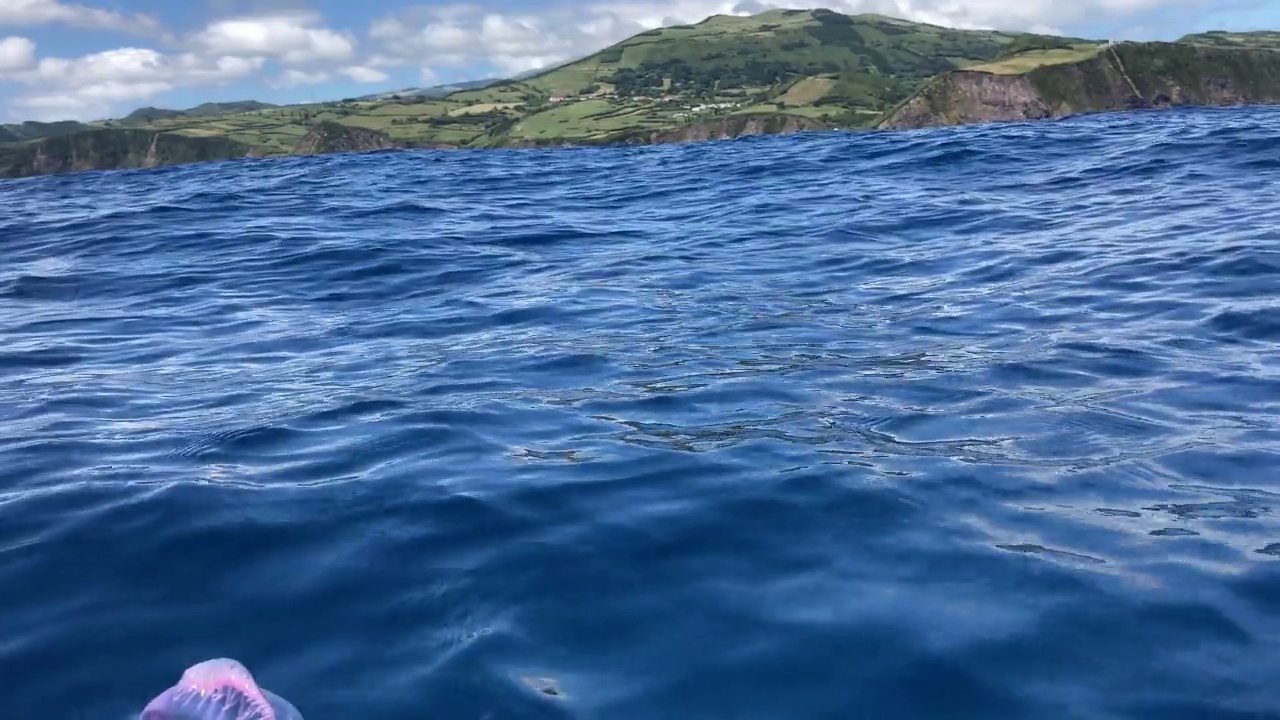 葡萄牙人在海里游泳视频素材