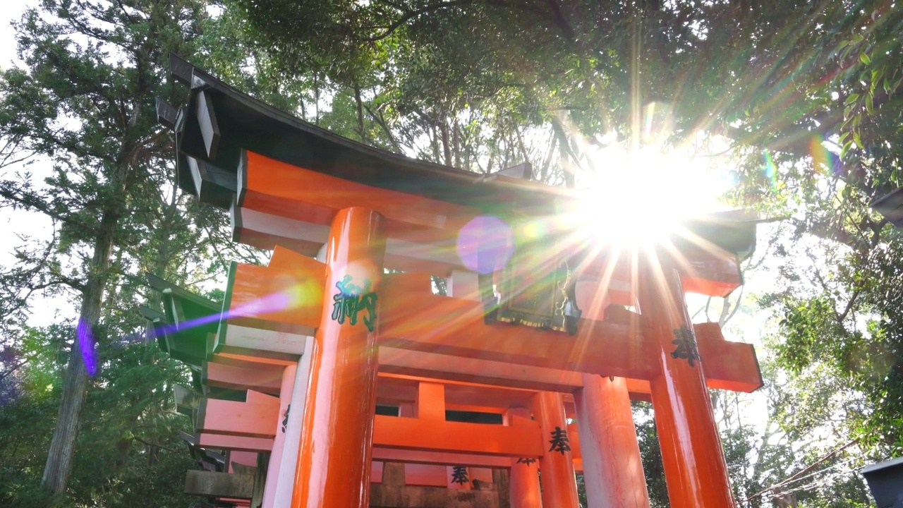 日本，京都，渡假神社。京都，2019年3月2日。视频下载