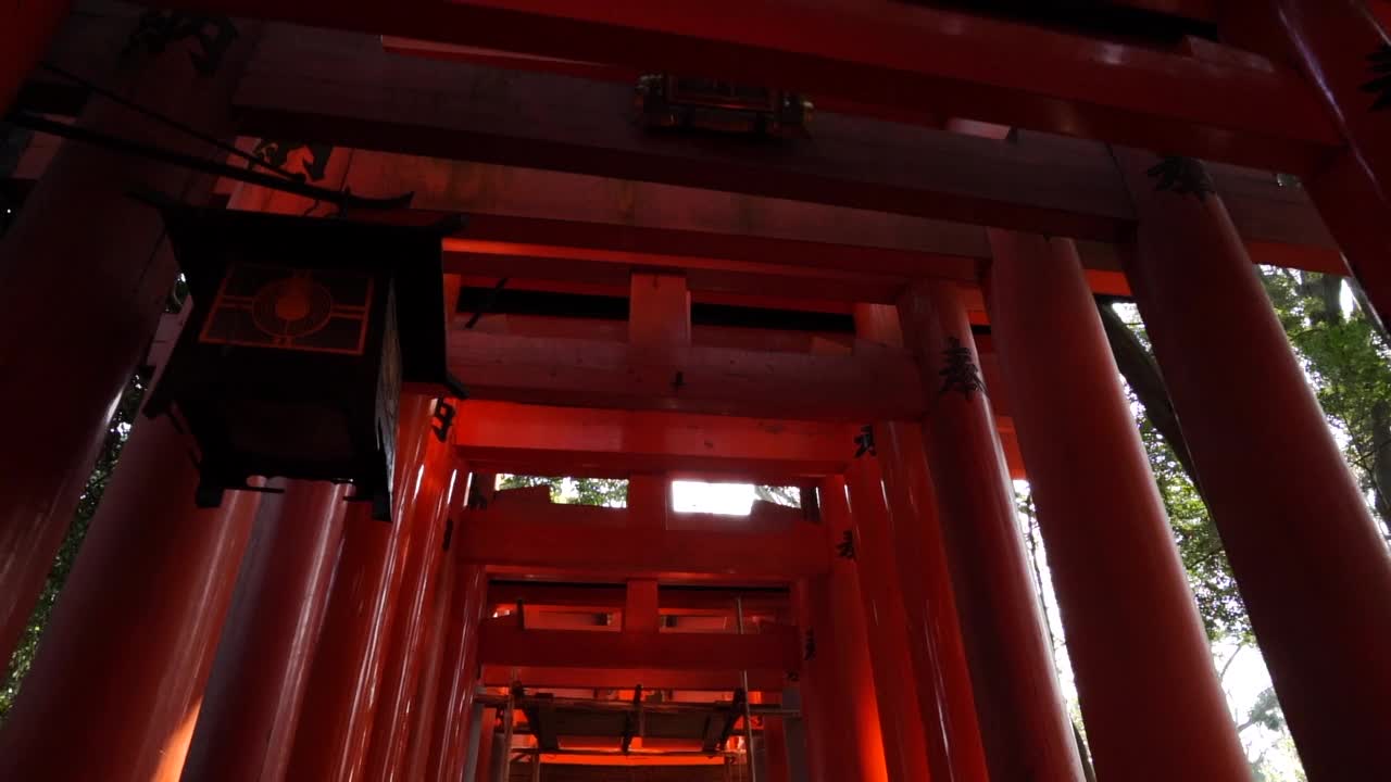 日本，京都，渡假神社。京都，2019年3月2日。视频下载