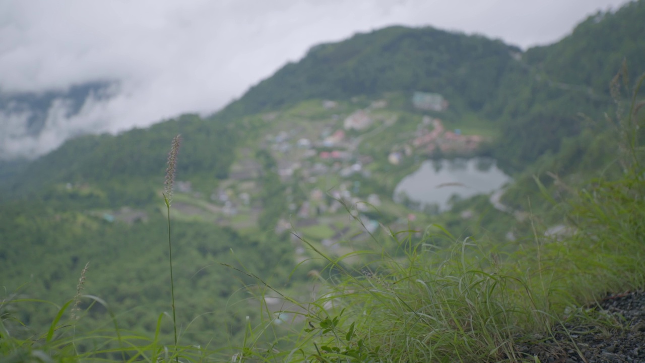 山顶的绿草，视频素材