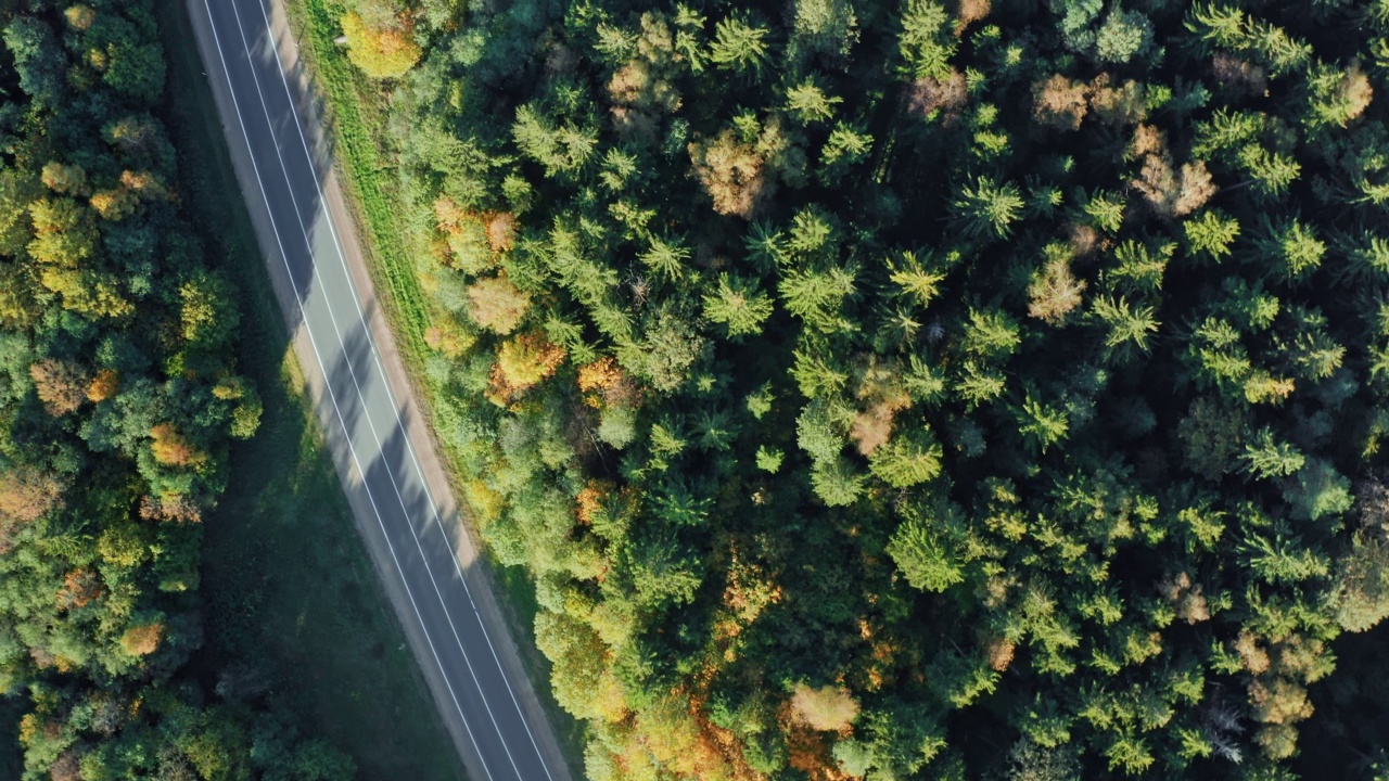 空中自顶向下无人机拍摄行驶在乡村公路上的汽车穿过美丽的秋天森林。秋天的季节，五彩缤纷的树林。飞过高速公路上的车辆，晴朗的日子里绿色和黄色的树梢视频素材