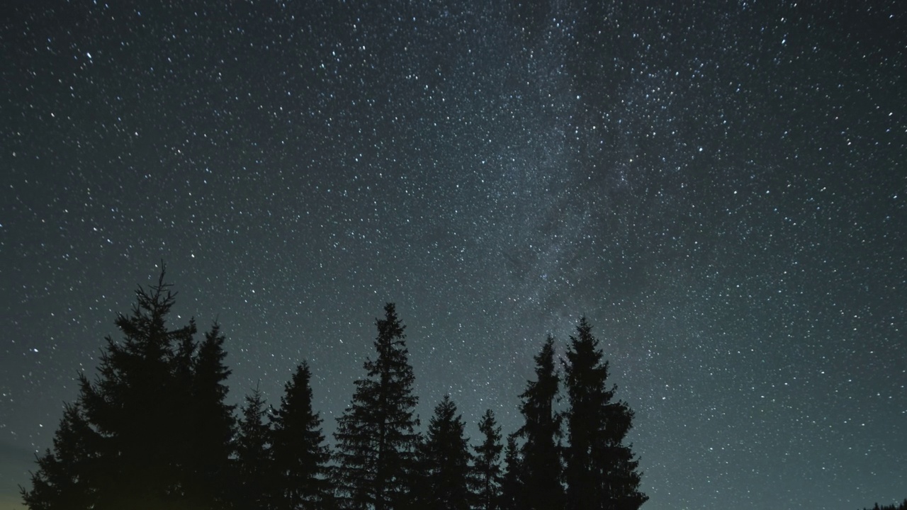 时间流逝的夜空与明亮的星星和银河在黑暗的松树林视频素材