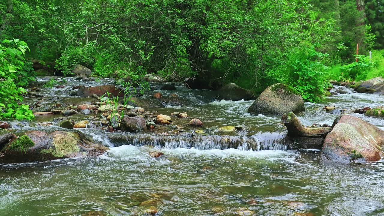 山中缓缓流淌的小溪的特写视频素材