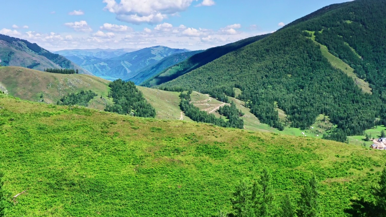 鸟瞰绿色森林和山脉景观视频素材