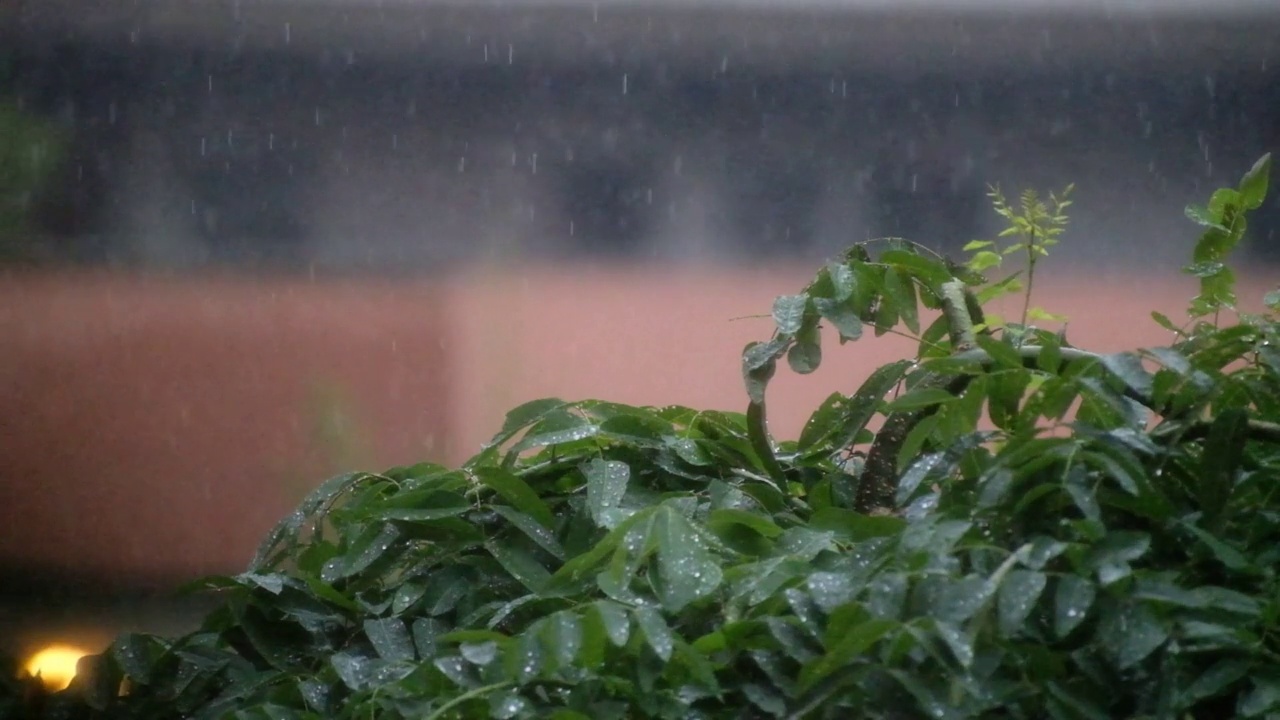 雷暴及下大雨视频素材